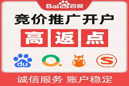 行业领先企业的sem竞价策略：成功案例剖析